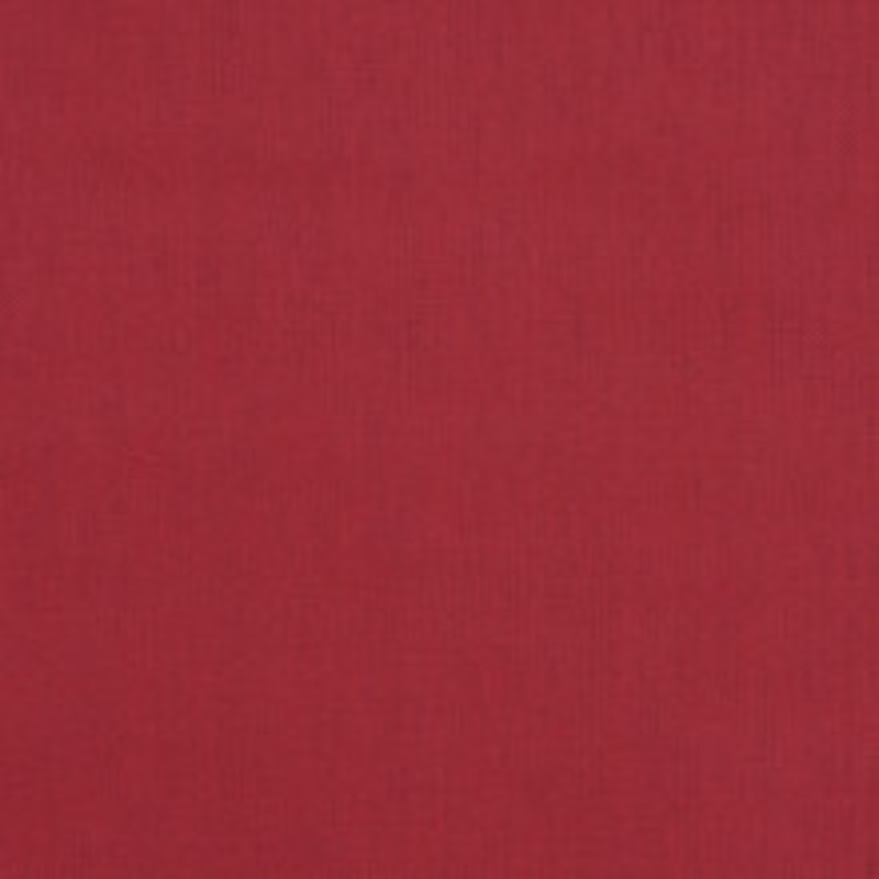 RM CoCo Fabric Frolic Raspberry