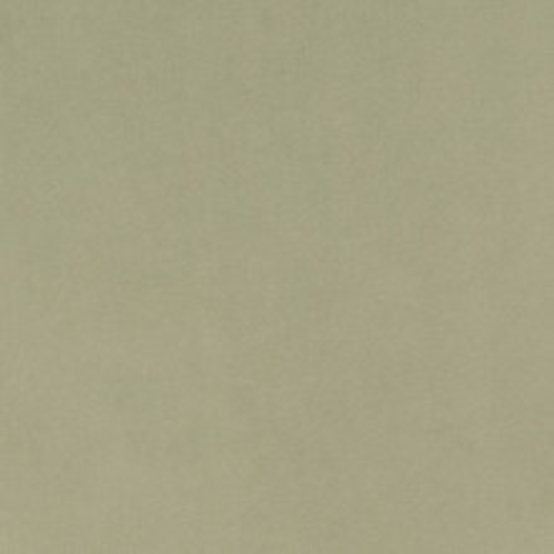 Charlotte Fabric D1494 Mint