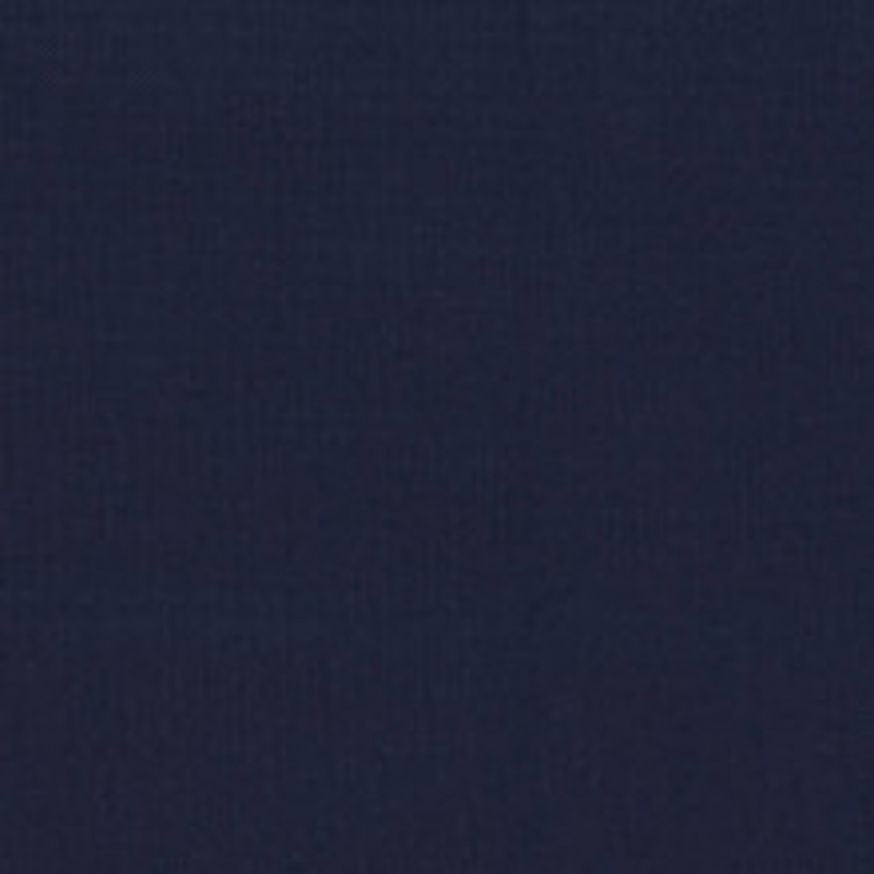 Charlotte Fabric D1411 Nautical