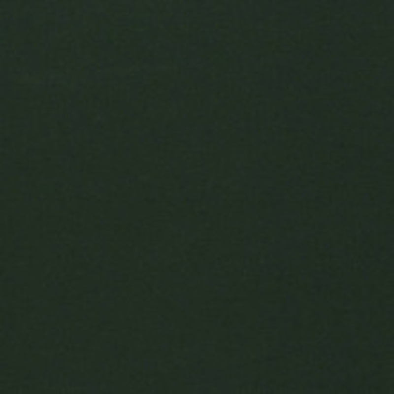 Charlotte Fabric D1257 Hunter