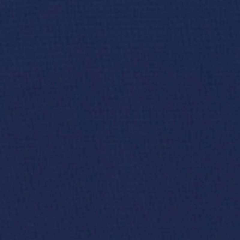 Charlotte Fabric D1418 Indigo