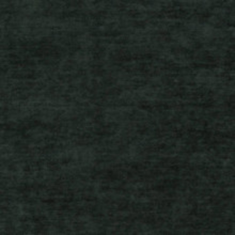 Charlotte Fabric D1136 Spruce