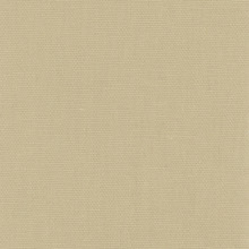 Carole Fabric Daydreamer Raffia