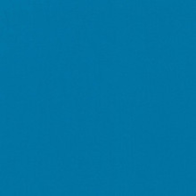 Charlotte Fabric D1264 Capri