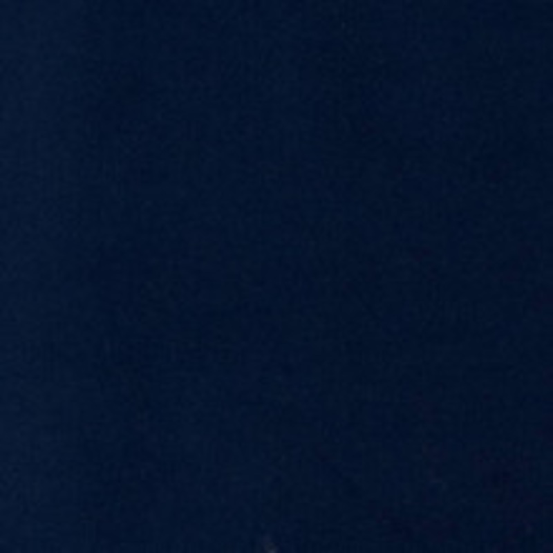 Charlotte Fabric D1460 Royal