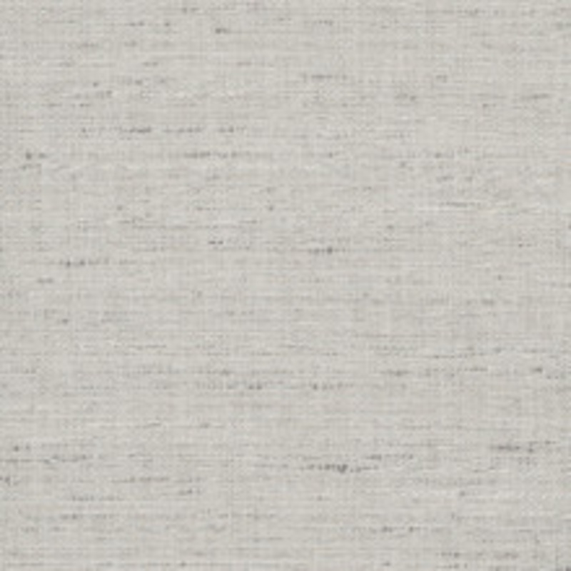 Carole Fabric Foreseeable Platinum