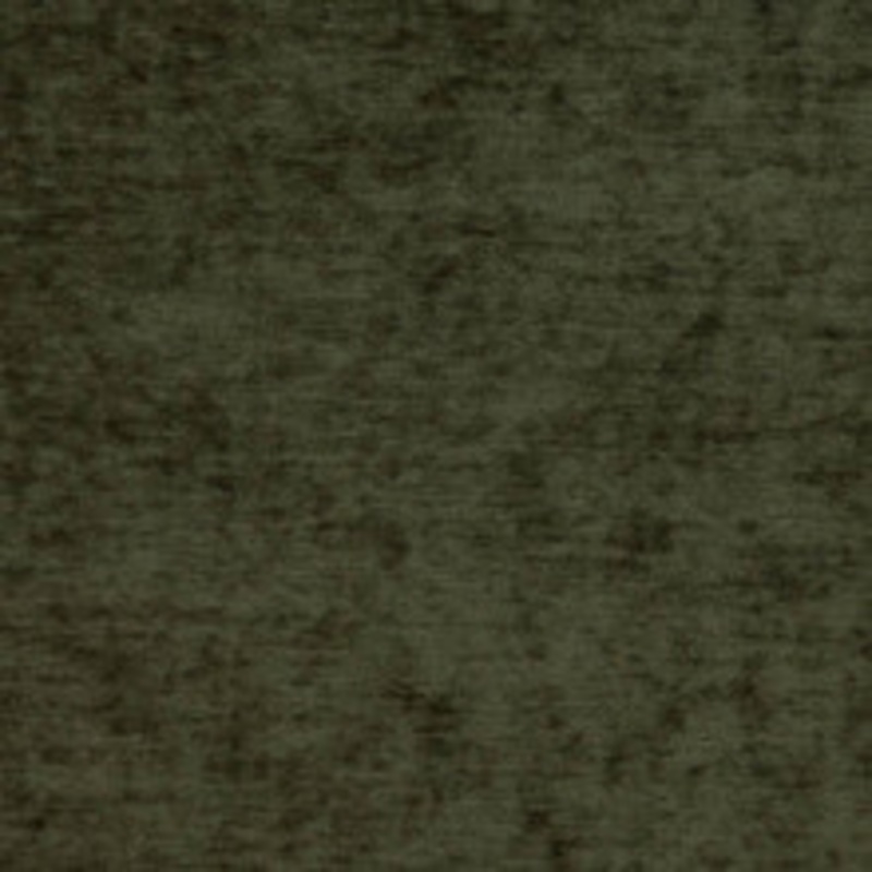 Charlotte Fabric D1138 Moss