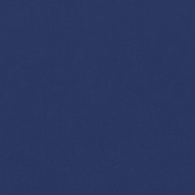 Charlotte Fabric D1263 Royal