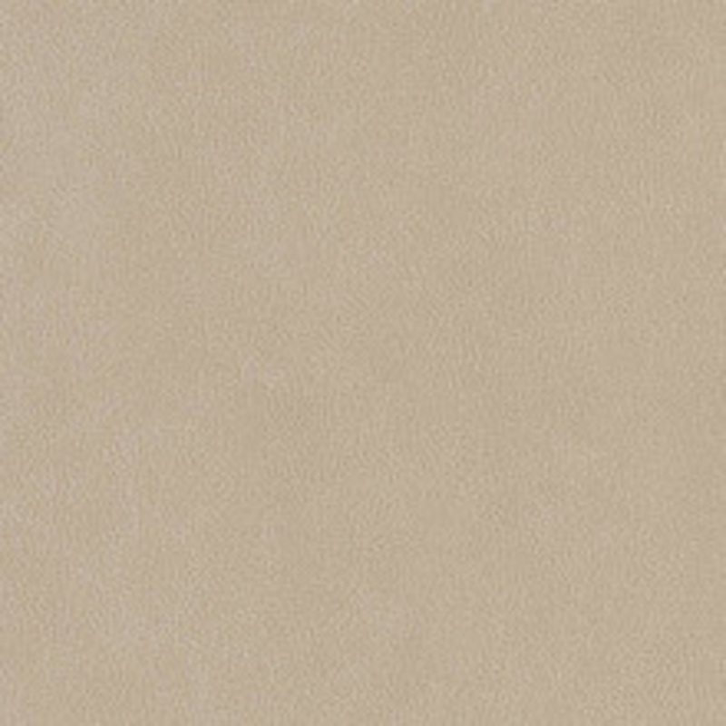 Charlotte Fabric V506 Linen