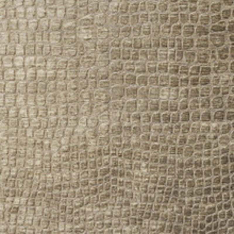 Charlotte Fabric 10151-15