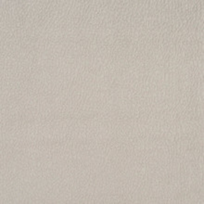 Charlotte Fabric 2924 Dolphin