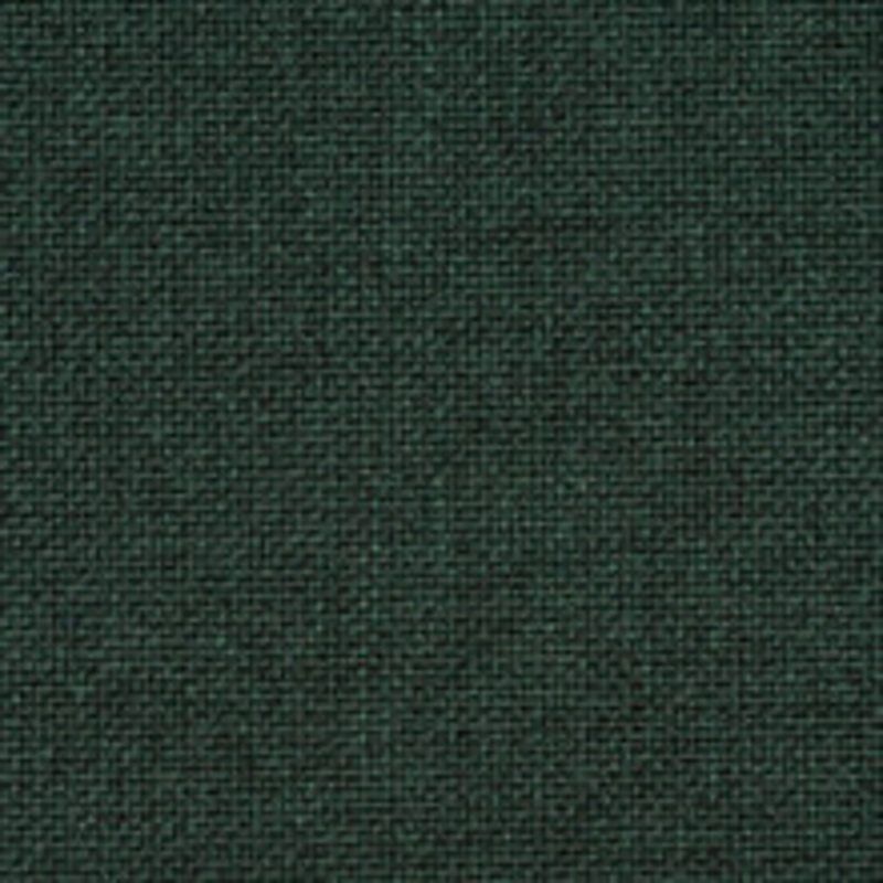 Charlotte Fabric 4010 Hunter