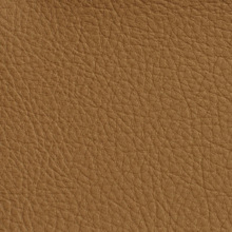 Charlotte Fabric 7173 Palomino