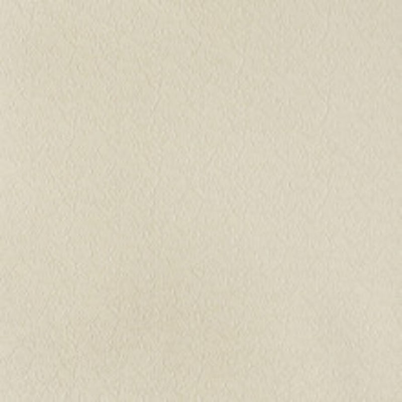 Charlotte Fabric 7343 Champagne