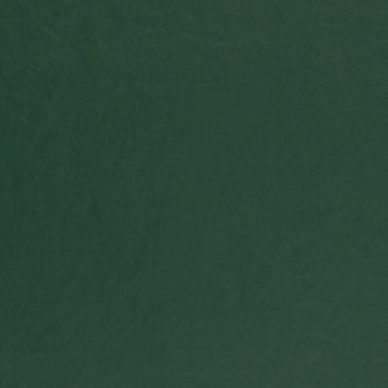 Charlotte Fabric V457 Spruce