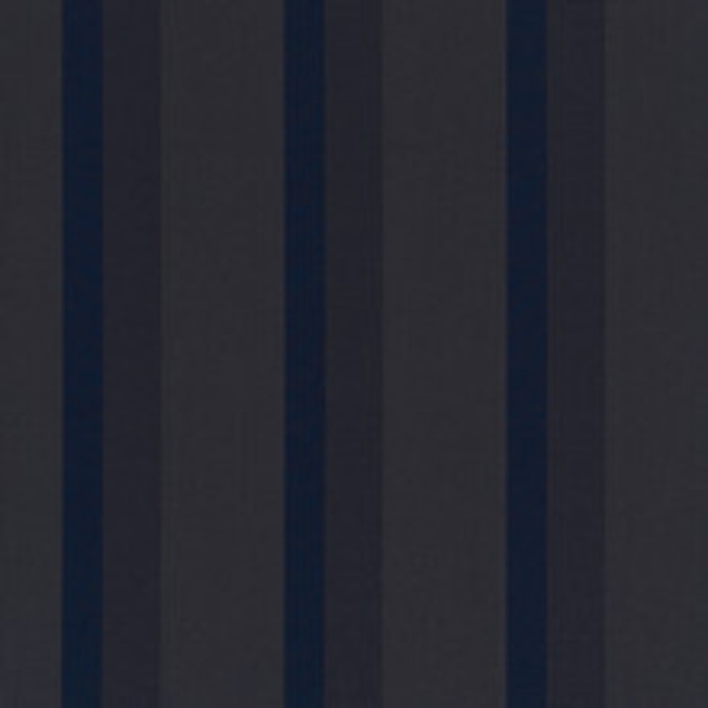 Schumacher Fabric Elise Midnight 72300