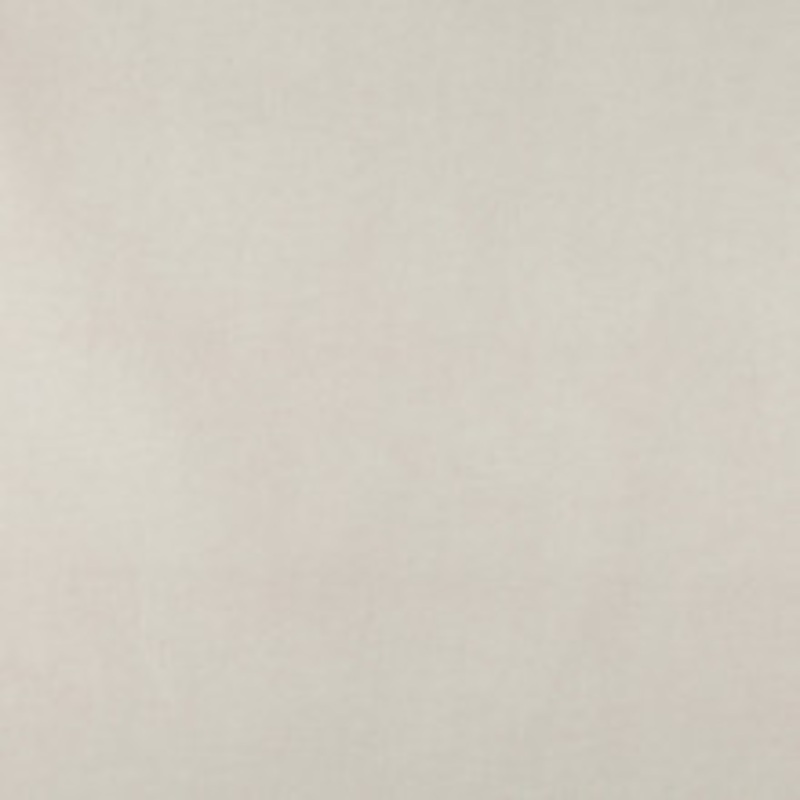 Charlotte Fabric 10000-01