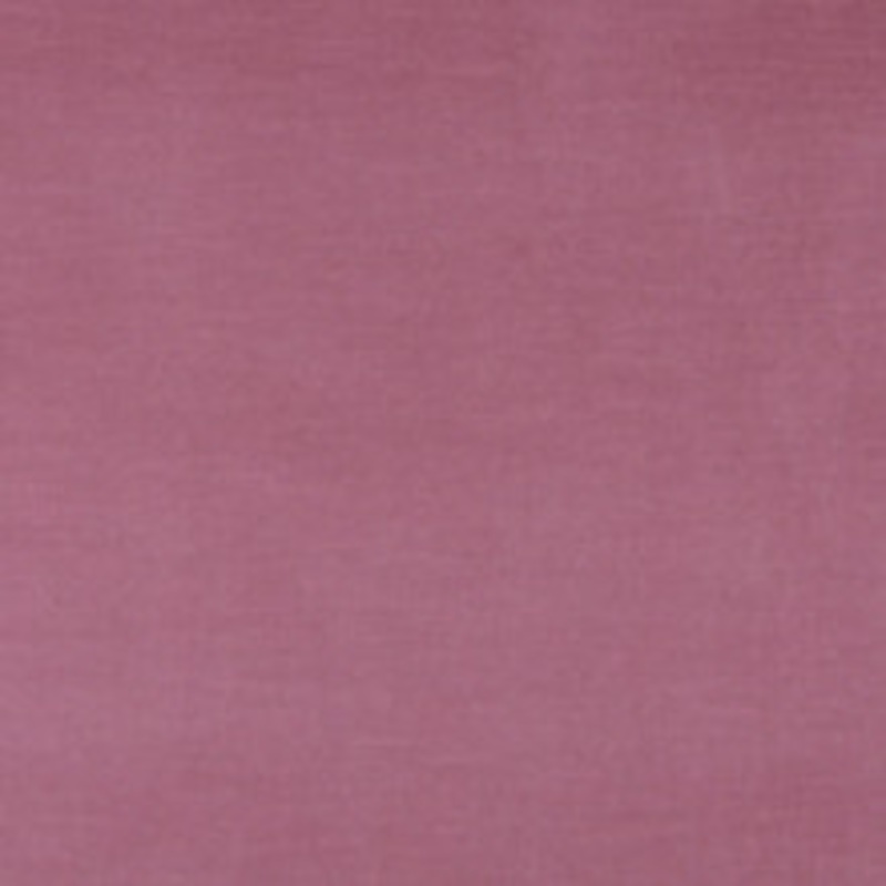 Charlotte Fabric 10001-02