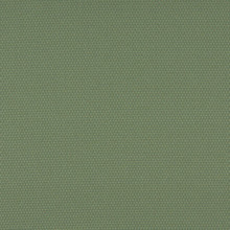 Charlotte Fabric 3745 Meadow