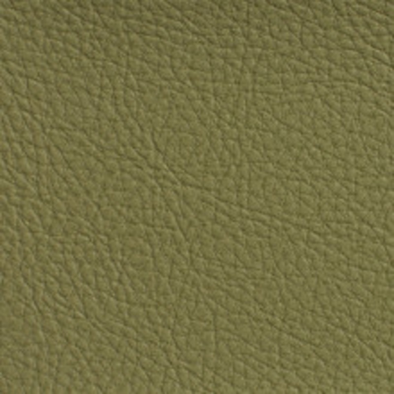 Charlotte Fabric 7191 Sage