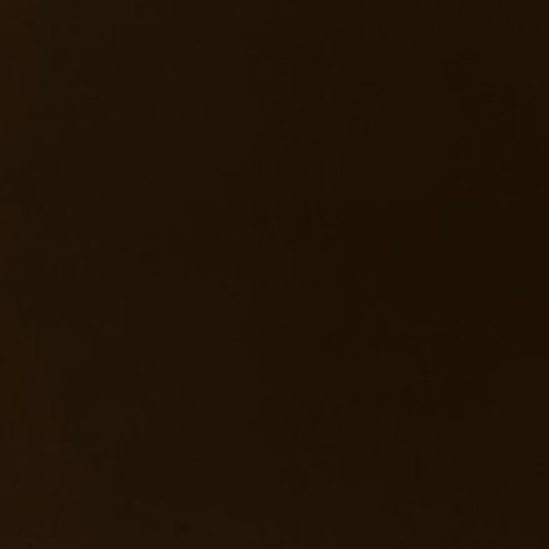 Schumacher Fabric Ravello Chocolate 71050