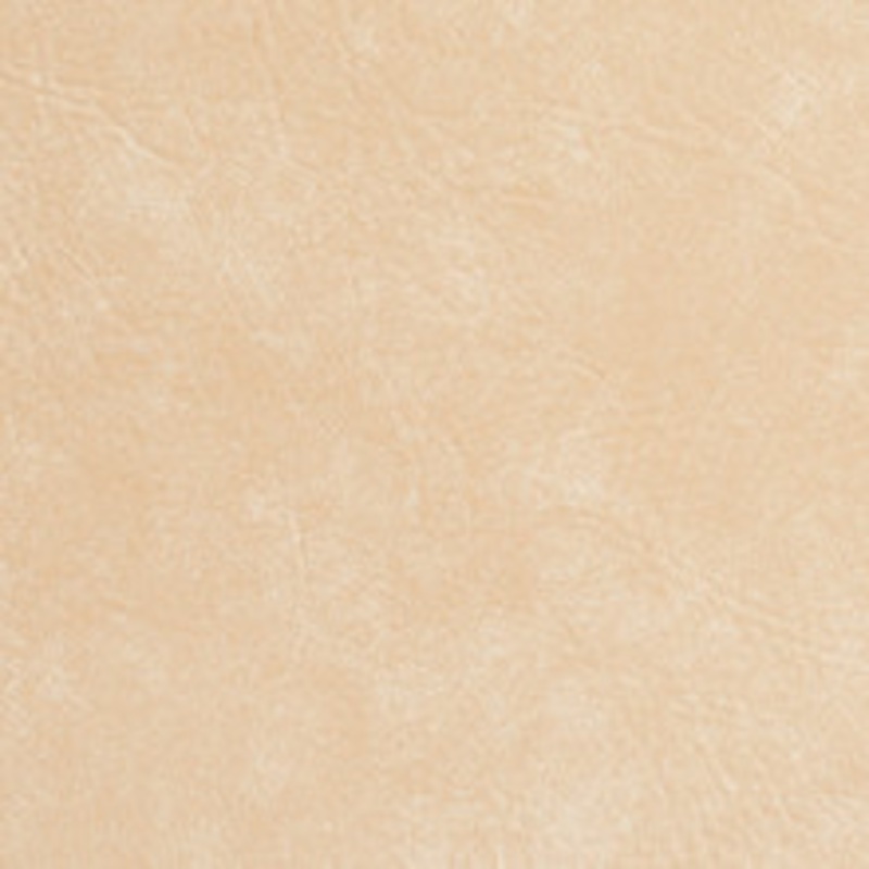 Charlotte Fabric 7949 Seashell