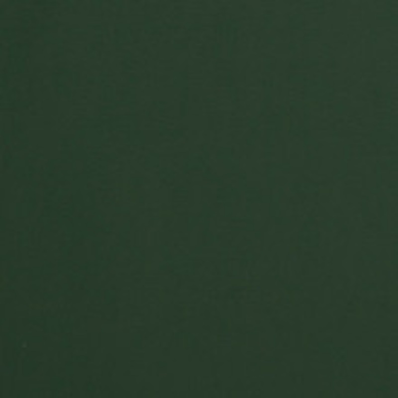 Charlotte Fabric V293 Forest