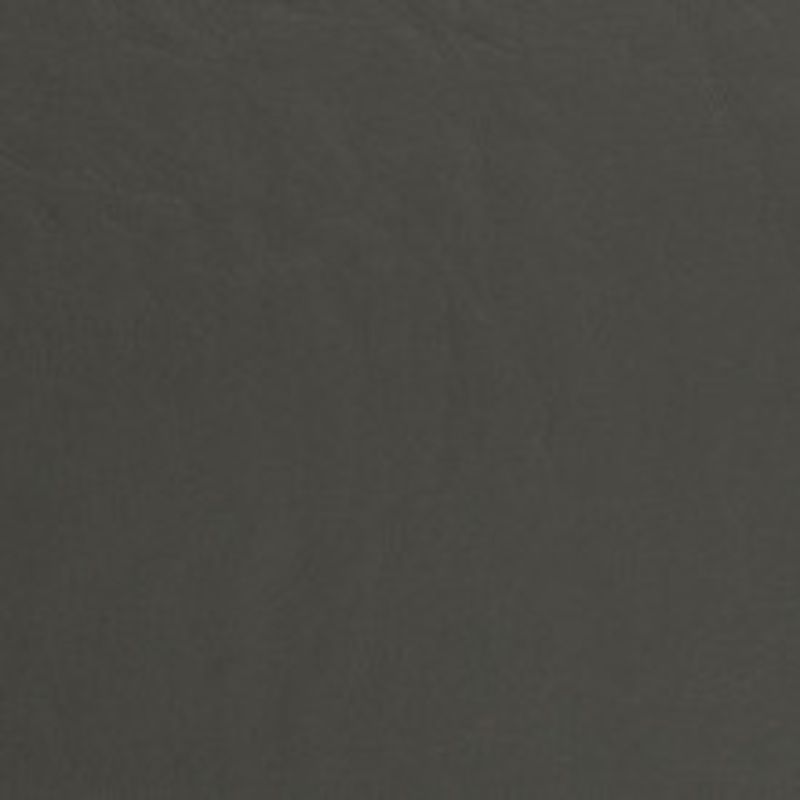 Charlotte Fabric V443 Graphite