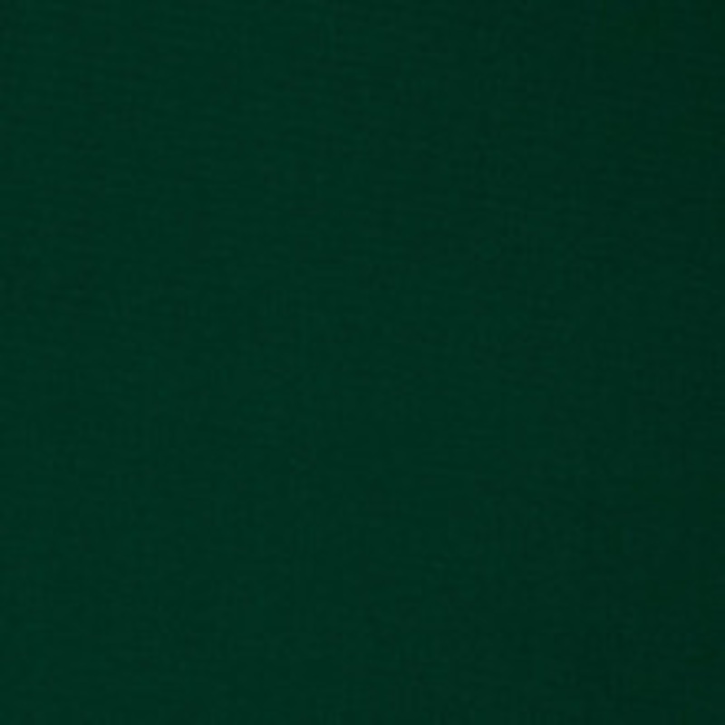 Charlotte Fabric 2478 Forest
