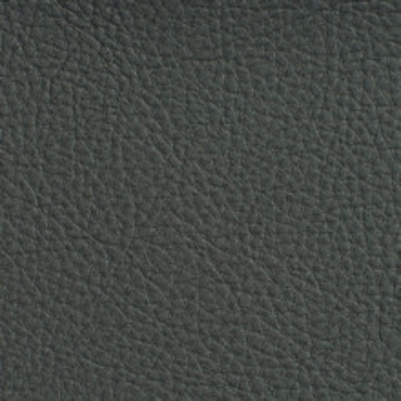 Charlotte Fabric 7188 Coal