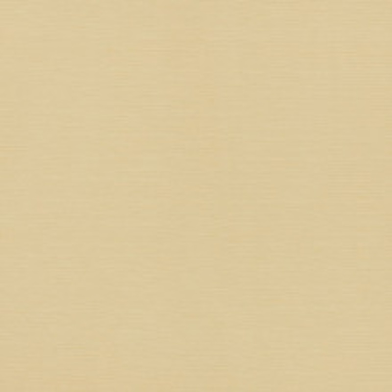 Schumacher Fabric Lampedusa Ecru 70941