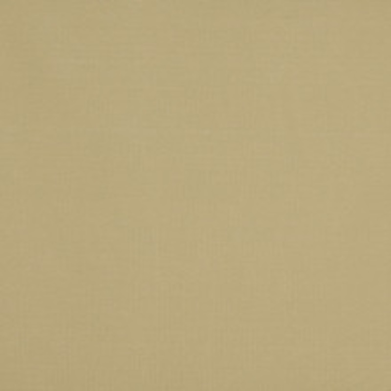 Charlotte Fabric 10111-05