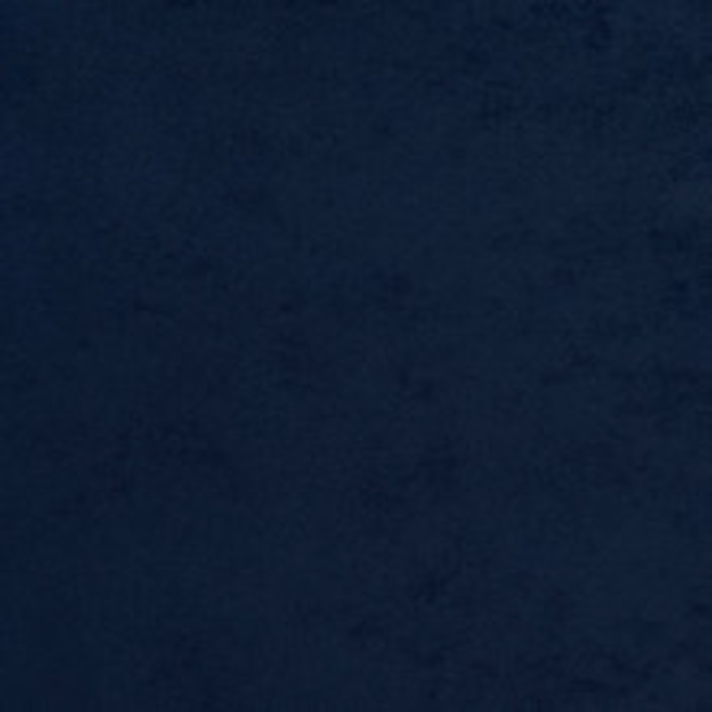 Charlotte Fabric 3726 Navy
