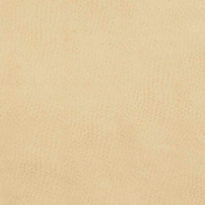 Charlotte Fabric 7277 Parchment