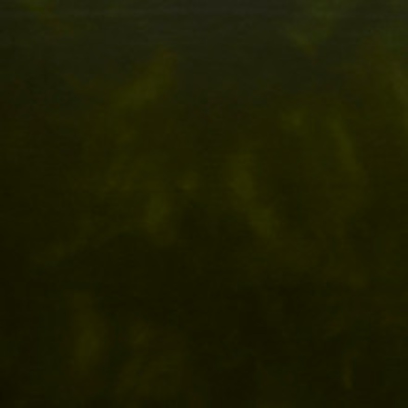 Charlotte Fabric 8236 Army