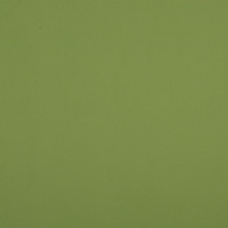 Charlotte Fabric 10104-06