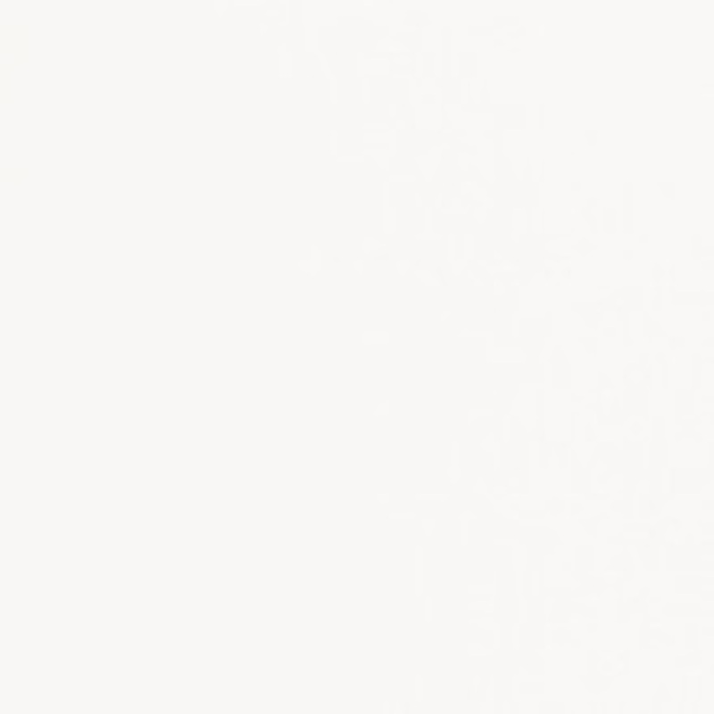 Charlotte Fabric V424 White