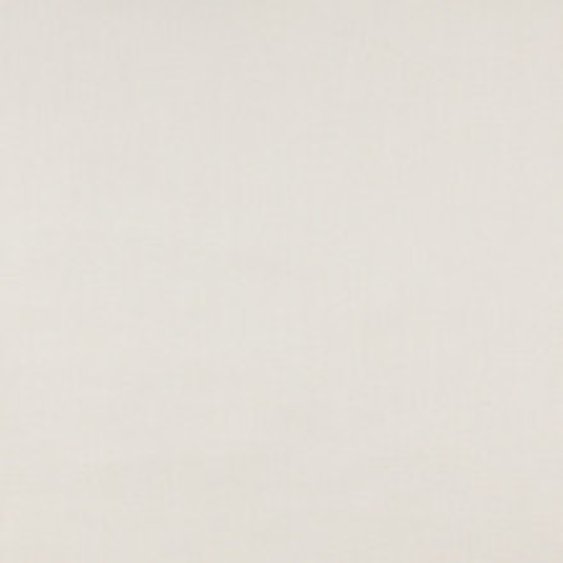 Charlotte Fabric 2494 Natural