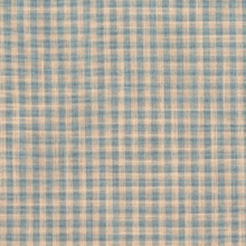Charlotte Fabric D118 Cornflower Gingham