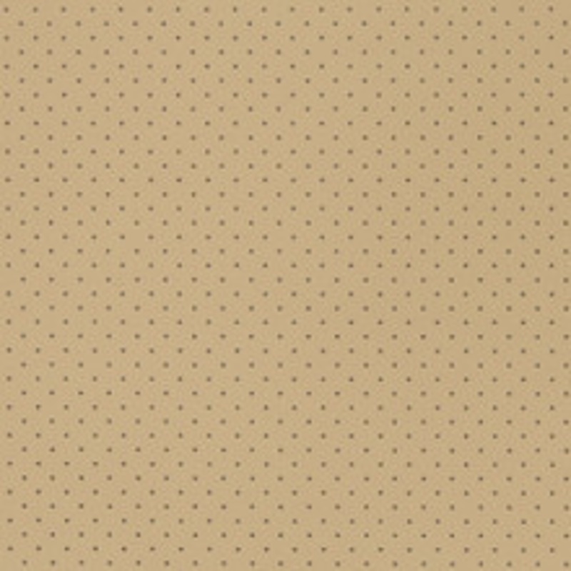 Charlotte Fabric V400 Taupe Perforated