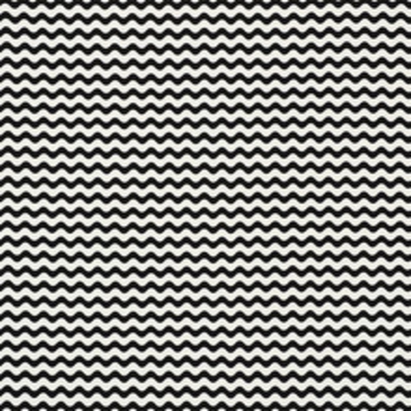 Schumacher Fabric Ric Rac Ii Black 176624