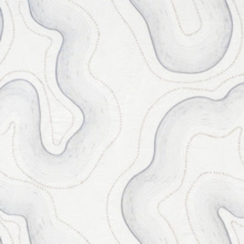Schumacher Fabric Topo Sheer Slate 75901