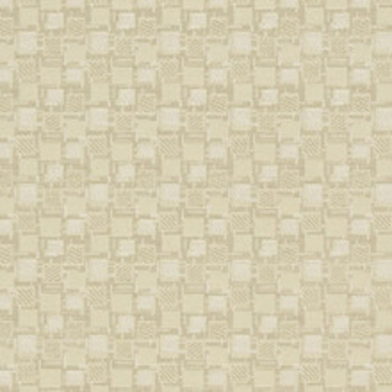 Charlotte Fabric D923 Squares/Canvas