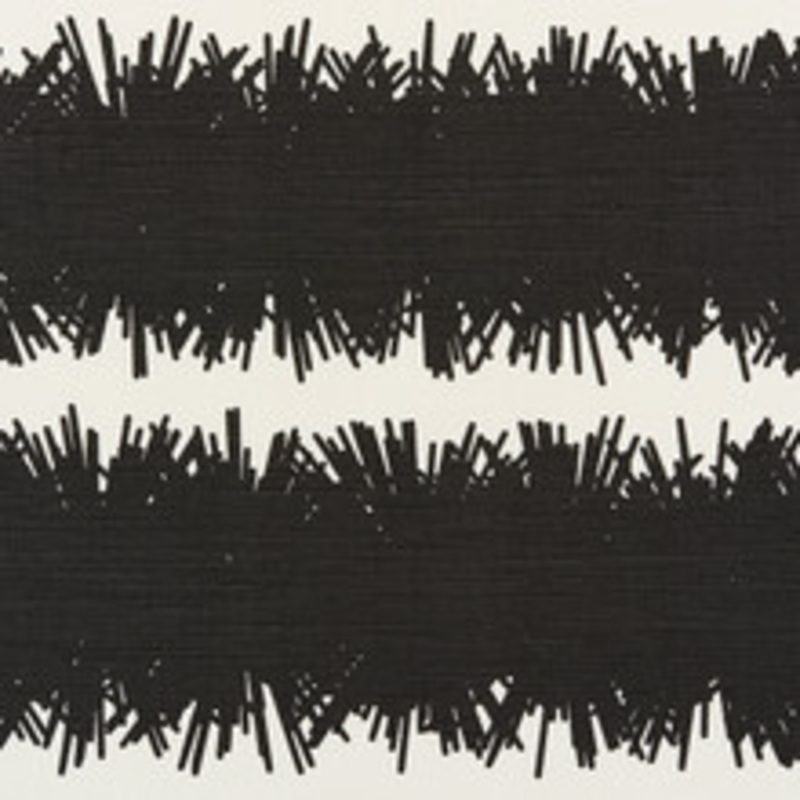Schumacher Fabric Bang Black 177123