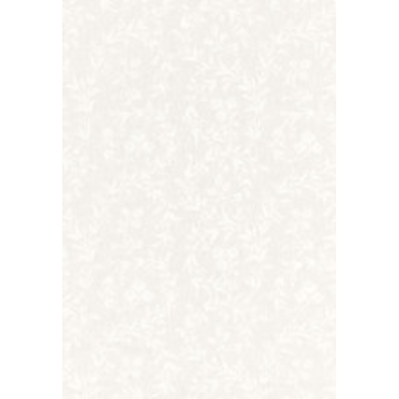 Schumacher Fabric Fiorentina Embroidery Ivory 67820