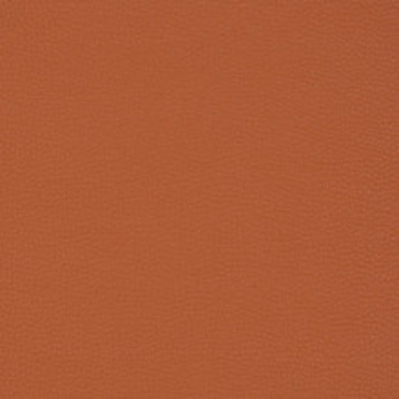 Charlotte Fabric V203 Sienna
