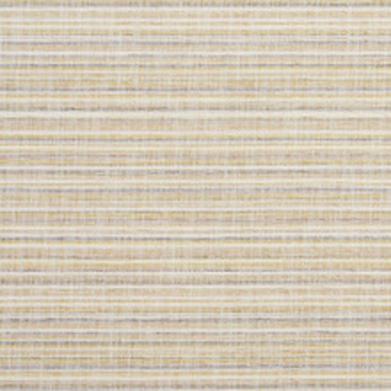Charlotte Fabric 10460-01