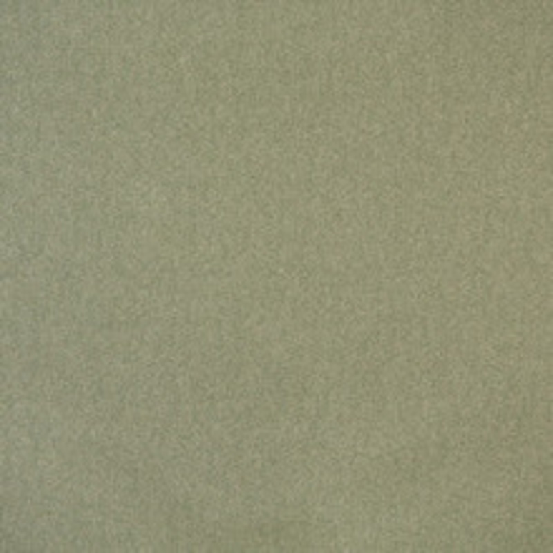 Charlotte Fabric 6721 Ivy