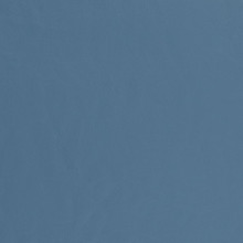 Charlotte Fabric V445 Blue