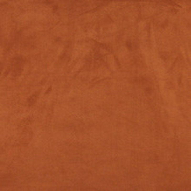 Charlotte Fabric 3062 Palomino